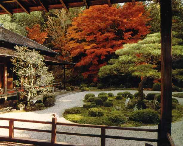 Спокойствие Японского сада 