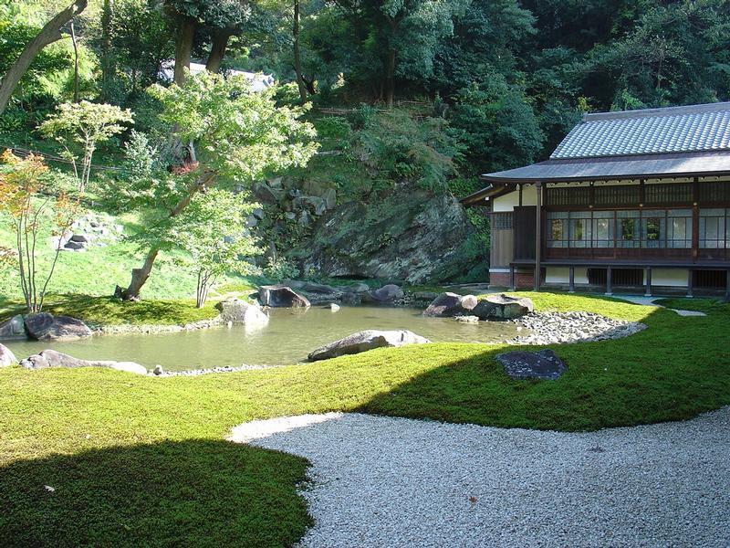 Пруд в Японском саду