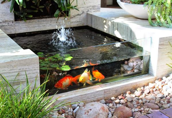 Садовый аквариум