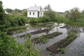 Осушение садового участка