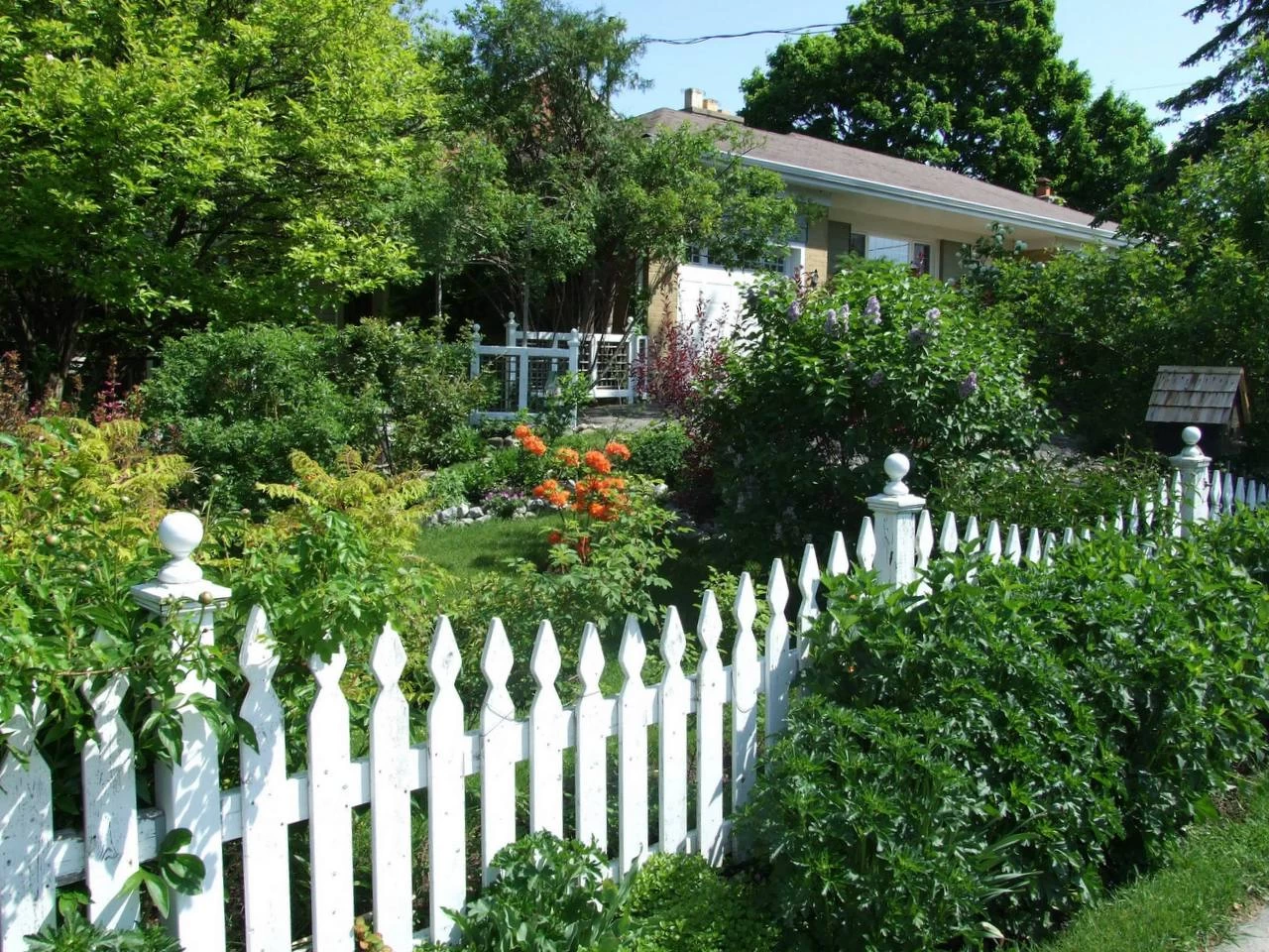 Как из обычного участка сделать сад