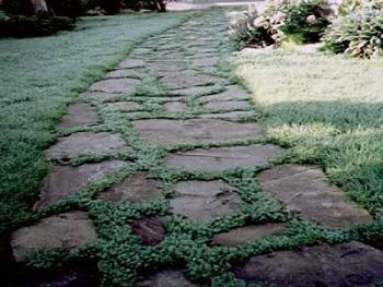 Натуральный камень в ландшафте