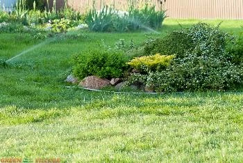 Озеленение приусадебной территории – создаем газон