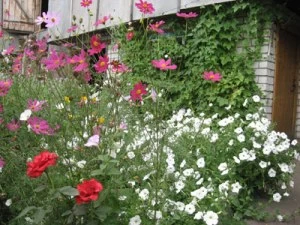 Садовые украшения