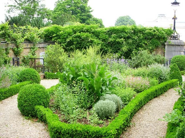 Искусство под названием Ландшафтный дизайн - основные тенденции