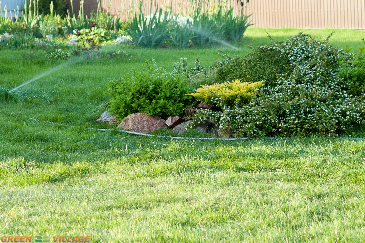 Озеленение приусадебной территории – создаем газон