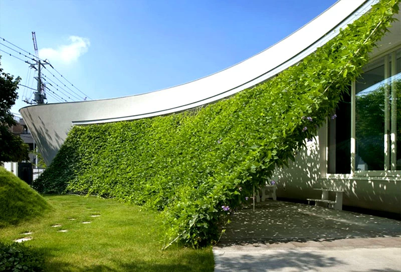 Авангардный сад — популярное направление в ландшафтном дизайне