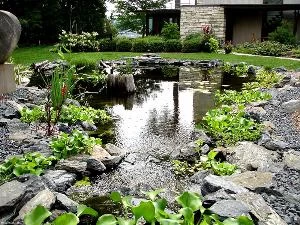 Устройство искусственного водоема — как правильно обустроить водоем