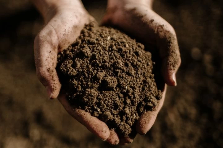 Растительный грунт Растительный грунт